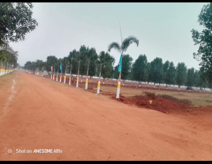 Open plots are available in Nuzvid 