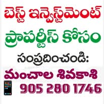 Farmland - Investment Plan. In Podili Municipality  ( Prakasam District )