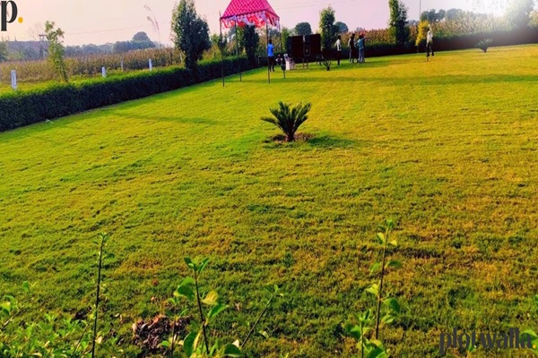 Call@ 9115253545 - Authority Plots Near Noida International Airport