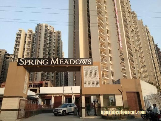 Looking for apartments for rent in Spring Meadows Noida Extension?
